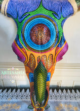 Load image into Gallery viewer, Craneo de Toro Bravo